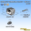画像6: 矢崎総業 090型II 防水 2極 メスカプラー・端子セット タイプ7 (6)