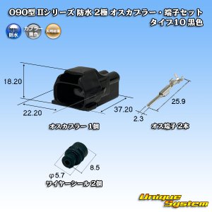画像: 矢崎総業 090型II 防水 2極 オスカプラー・端子セット タイプ10 黒色
