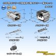 画像7: 矢崎総業 090型II 防水 2極 カプラー・端子セット タイプ7 (7)