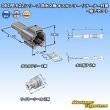 画像6: 矢崎総業 060型 62コネクタ Zタイプ 防水 2極 オスカプラー リテーナー付属・端子セット タイプ1 灰色 (6)