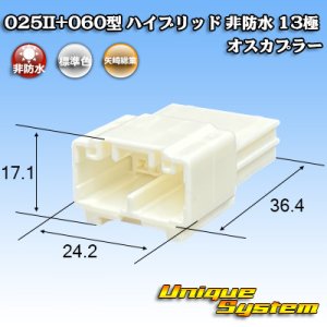 画像: 矢崎総業 025II+060型 ハイブリッド 非防水 13極 オスカプラー (025型II 9極+060型 4極)