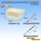 画像: 矢崎総業 040III型+090型II ハイブリッド 非防水 18極 オスカプラー・端子セット (040型III 10極+090型II 8極)