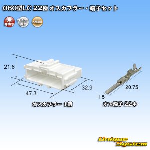 画像: 矢崎総業 060型LC (HLC) 非防水 22極 オスカプラー・端子セット