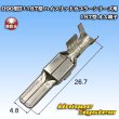 画像1: 矢崎総業 090型II+187型 ハイブリッドカプラーシリーズ用 非防水 187型 オス端子 (1)