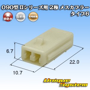 画像: 矢崎総業 090型II 非防水 2極 メスカプラー タイプ6