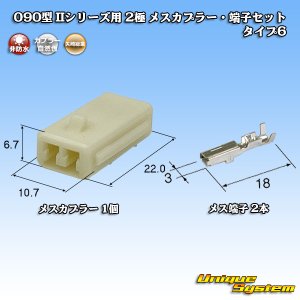 画像: 矢崎総業 090型II 非防水 2極 メスカプラー・端子セット タイプ6