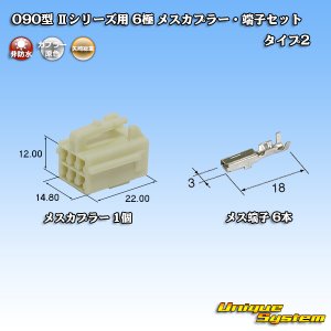 画像: 矢崎総業 090型II 非防水 6極 メスカプラー・端子セット タイプ2