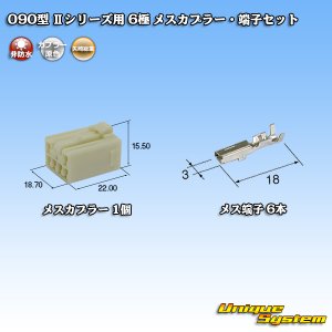 画像: 矢崎総業 090型II 非防水 6極 メスカプラー・端子セット タイプ1