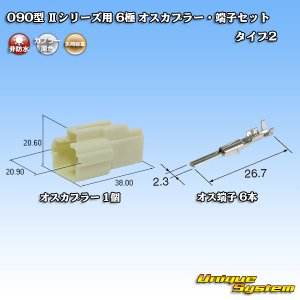 画像: 矢崎総業 090型II 非防水 6極 オスカプラー・端子セット タイプ2