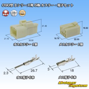 画像: 矢崎総業 090型II 非防水 6極 カプラー・端子セット タイプ1