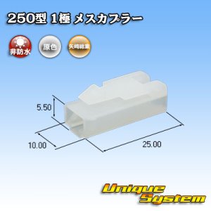 画像: 矢崎総業 250型 CN(A) 非防水 1極 メスカプラー