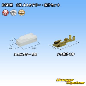 画像: 矢崎総業 250型 CN(A) 非防水 1極 メスカプラー・端子セット