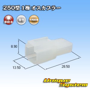 画像: 矢崎総業 250型 CN(A) 非防水 1極 オスカプラー