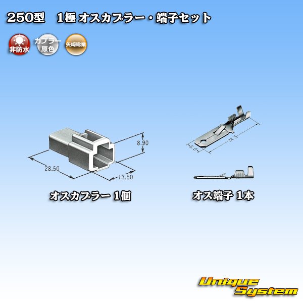 画像4: 矢崎総業 250型 CN(A) 非防水 1極 オスカプラー・端子セット (4)