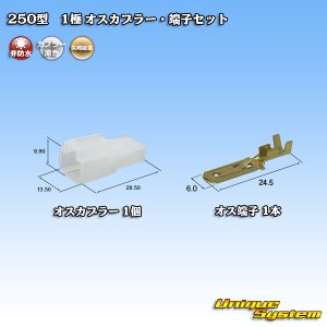 画像: 矢崎総業 250型 CN(A) 非防水 1極 オスカプラー・端子セット