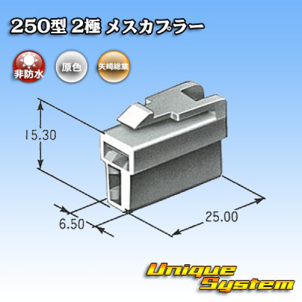 画像3: 矢崎総業 250型 CN(A) 非防水 2極 メスカプラー (3)