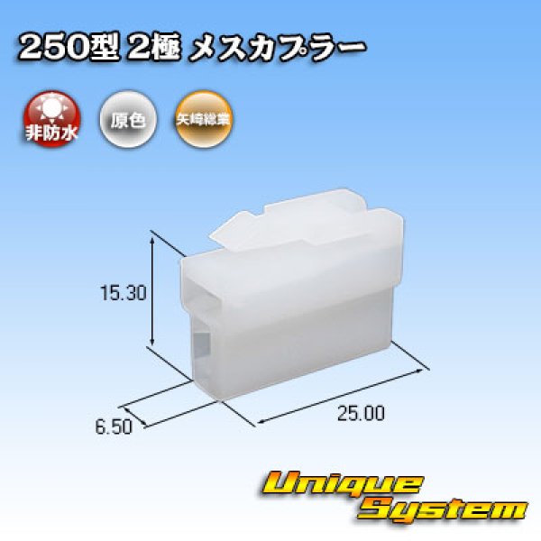 画像1: 矢崎総業 250型 CN(A) 非防水 2極 メスカプラー (1)