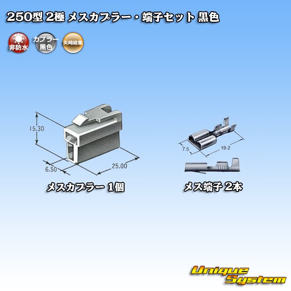 画像4: 矢崎総業 250型 CN(A) 非防水 2極 メスカプラー・端子セット 黒色 (4)