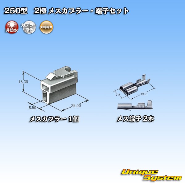 画像4: 矢崎総業 250型 CN(A) 非防水 2極 メスカプラー・端子セット (4)
