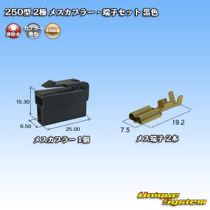 画像: 矢崎総業 250型 CN(A) 非防水 2極 メスカプラー・端子セット 黒色