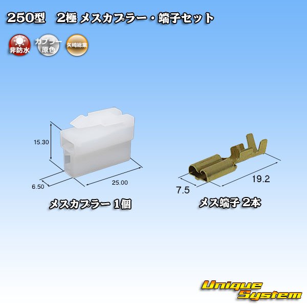 画像1: 矢崎総業 250型 CN(A) 非防水 2極 メスカプラー・端子セット (1)
