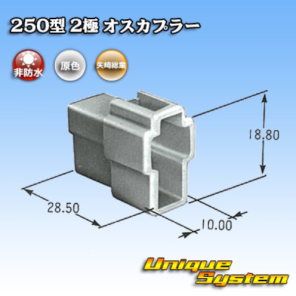 画像3: 矢崎総業 250型 CN(A) 非防水 2極 オスカプラー (3)