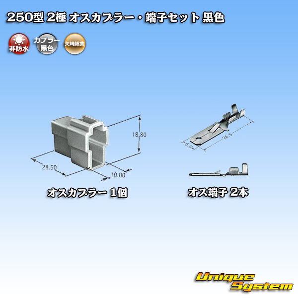 画像4: 矢崎総業 250型 CN(A) 非防水 2極 オスカプラー・端子セット 黒色 (4)
