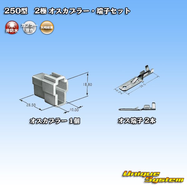 画像4: 矢崎総業 250型 CN(A) 非防水 2極 オスカプラー・端子セット (4)