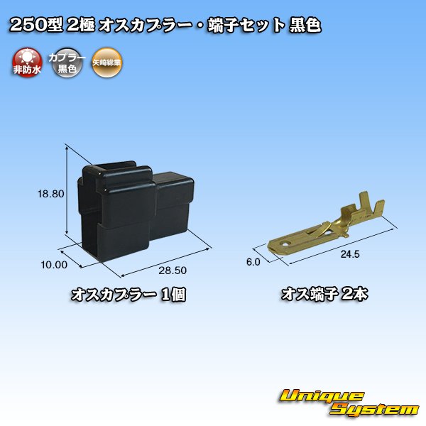 画像1: 矢崎総業 250型 CN(A) 非防水 2極 オスカプラー・端子セット 黒色 (1)