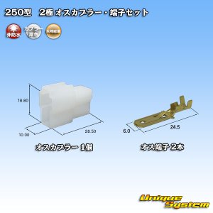 画像: 矢崎総業 250型 CN(A) 非防水 2極 オスカプラー・端子セット