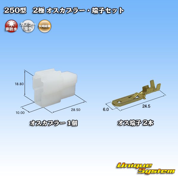 画像1: 矢崎総業 250型 CN(A) 非防水 2極 オスカプラー・端子セット (1)