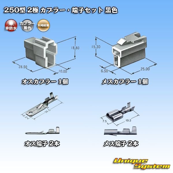 画像5: 矢崎総業 250型 CN(A) 非防水 2極 カプラー・端子セット 黒色 (5)