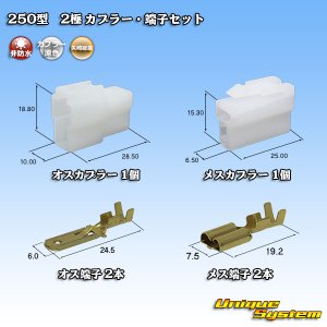 画像: 矢崎総業 250型 CN(A) 非防水 2極 カプラー・端子セット