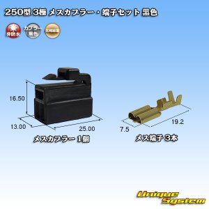 画像: 矢崎総業 250型 CN(A) 非防水 3極 メスカプラー・端子セット 黒色