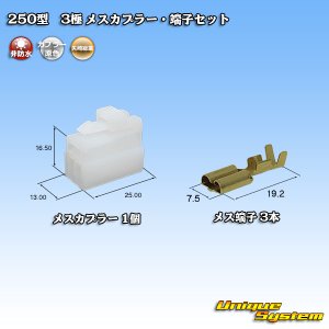 画像: 矢崎総業 250型 CN(A) 非防水 3極 メスカプラー・端子セット