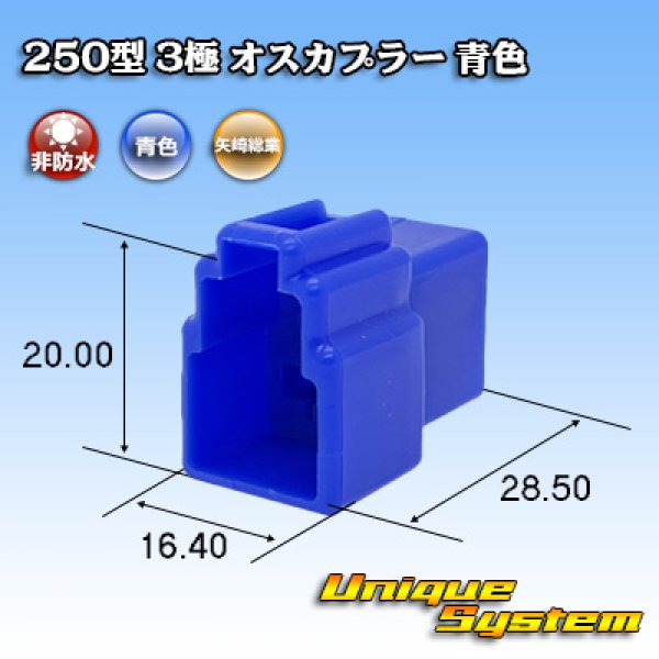 画像1: 矢崎総業 250型 CN(A) 非防水 3極 オスカプラー 青色 (1)
