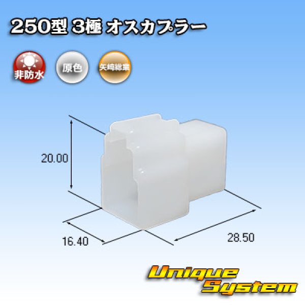 画像1: 矢崎総業 250型 CN(A) 非防水 3極 オスカプラー (1)