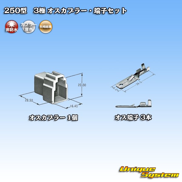 画像4: 矢崎総業 250型 CN(A) 非防水 3極 オスカプラー・端子セット (4)