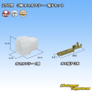 画像: 矢崎総業 250型 CN(A) 非防水 3極 オスカプラー・端子セット