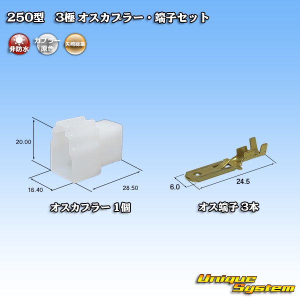画像1: 矢崎総業 250型 CN(A) 非防水 3極 オスカプラー・端子セット (1)