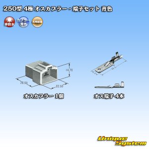 画像: 矢崎総業 250型 CN(A) 非防水 4極 オスカプラー・端子セット 青色