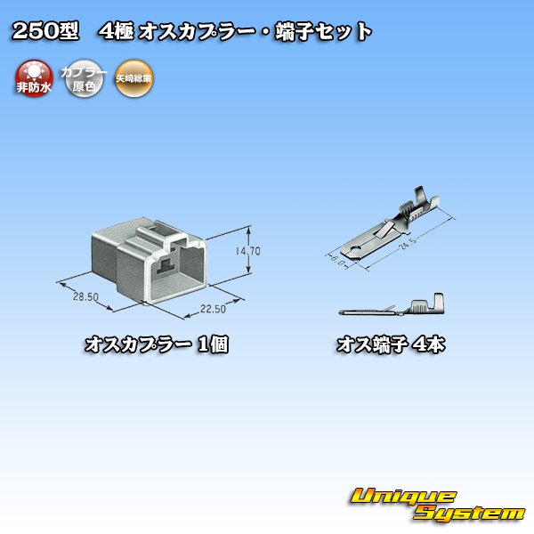 画像4: 矢崎総業 250型 CN(A) 非防水 4極 オスカプラー・端子セット (4)