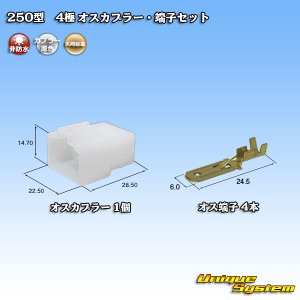 画像: 矢崎総業 250型 CN(A) 非防水 4極 オスカプラー・端子セット