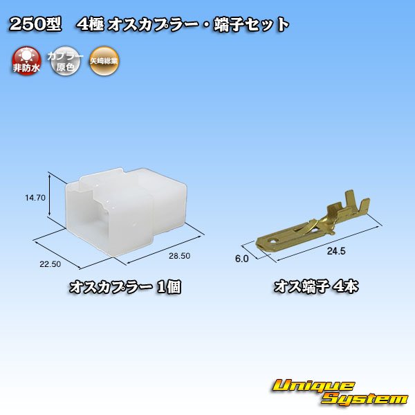 画像1: 矢崎総業 250型 CN(A) 非防水 4極 オスカプラー・端子セット (1)