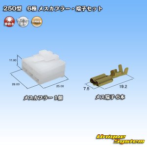 画像: 矢崎総業 250型 CN(A) 非防水 6極 メスカプラー・端子セット