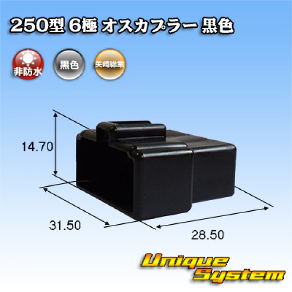 画像1: 矢崎総業 250型 CN(A) 非防水 6極 オスカプラー 黒色 (1)