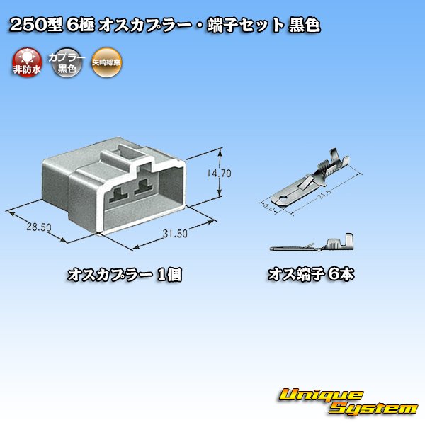 画像4: 矢崎総業 250型 CN(A) 非防水 6極 オスカプラー・端子セット 黒色 (4)