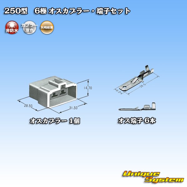 画像4: 矢崎総業 250型 CN(A) 非防水 6極 オスカプラー・端子セット (4)