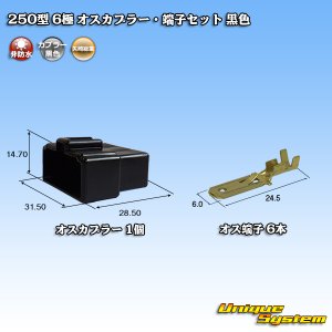 画像: 矢崎総業 250型 CN(A) 非防水 6極 オスカプラー・端子セット 黒色
