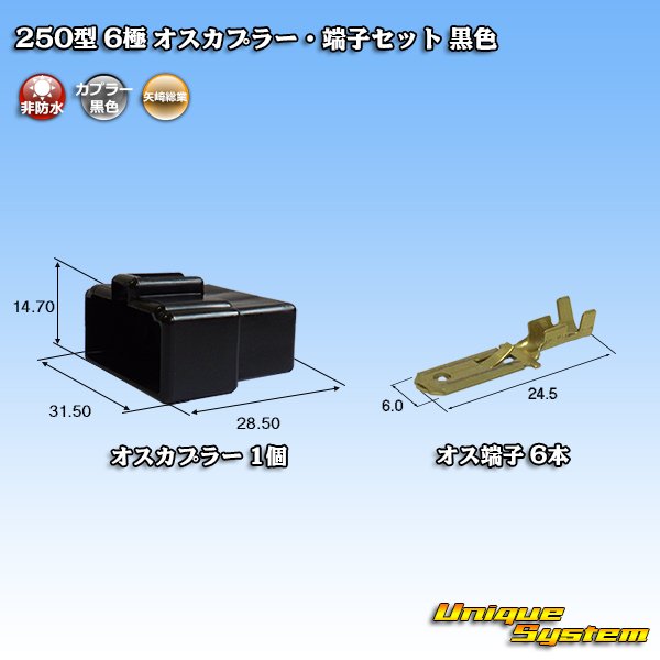画像1: 矢崎総業 250型 CN(A) 非防水 6極 オスカプラー・端子セット 黒色 (1)